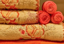 Healthcare/Hostpitality